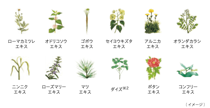 12種類の植物由来成分