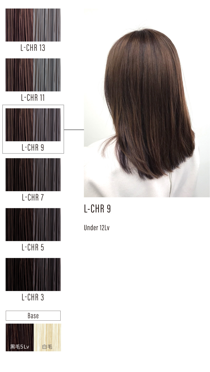 sheertne COLOR CHART Chrome | ミアンビューティー（三口産業株式会社）